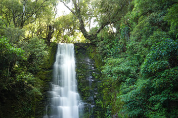 Waterfall in Catlins Forest, New Zealand