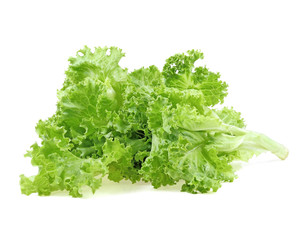 salad leaf. lettuce isolated on white background