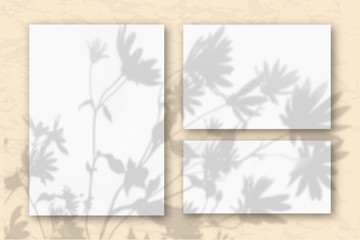 Several horizontal and vertical sheets of white textured paper on the sand-colored wall. Mockup overlay with the plant shadows. Natural light casts shadows from flowers and leaves of daisies