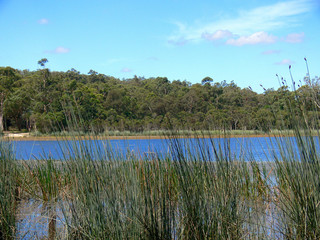 A view of the Glenbrook Lagoon in the Blue Mountains west of Sydney