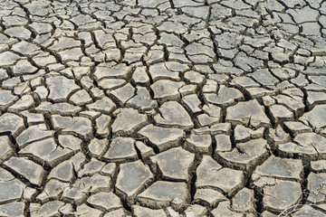 Cracked dried Ground in arid area