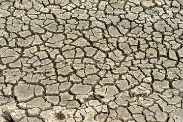 Cracked dried Ground in arid area