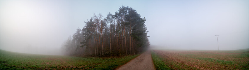 Panorama of a morning field in foggy weather