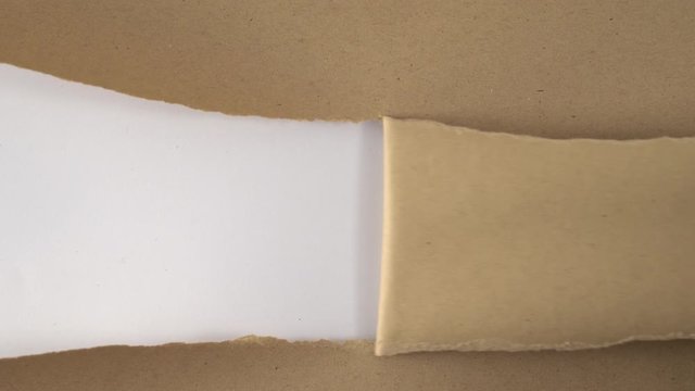 hand torn paper revealing blank space