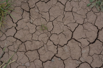Fototapeta premium Tierra seca y agrietada