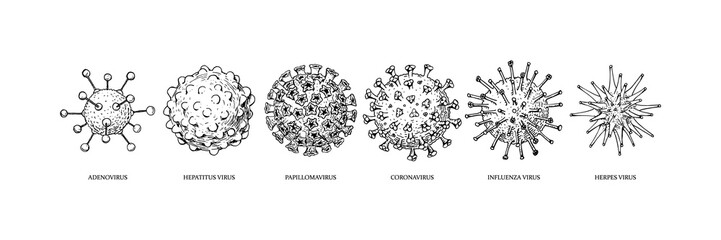 Set of hand drawn viruses types (coronavirus, papillomavirus, herpes, influenza, hepatitis, adenovirus) with names in sketch style. Microscope virus close up. Vector illustration. COVID-2019 - obrazy, fototapety, plakaty