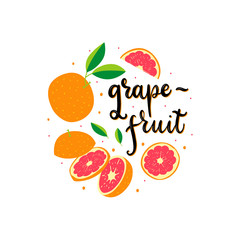 Grapefruit fresh vector flat illustration with lettering