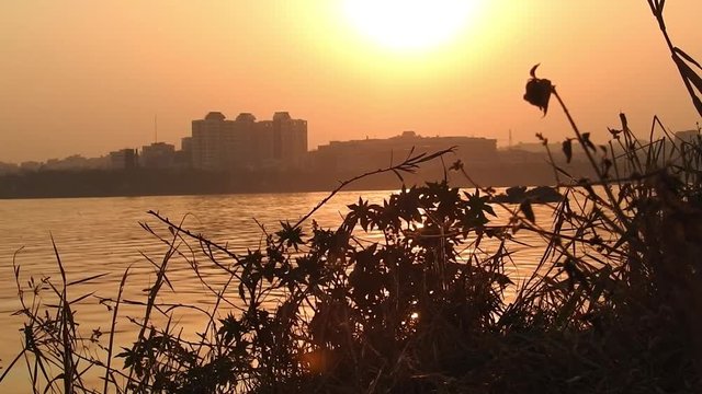 plants during sunset with red sky, sunset with landscape. Sunset in a field with straw grass. haloxylon tree on orange sunset background. Winter landscape - snow-covered bushes and trees against th


