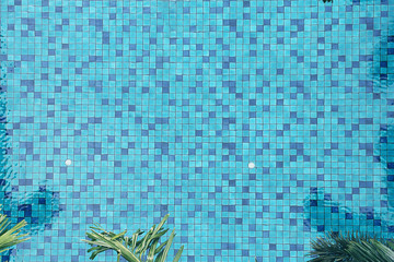 Top view of swimming pool with plam trees