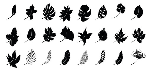 Naklejka premium Set of silhouettes autumn leaves.