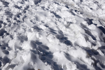 Snow on the ground near tabo monastry, Spiti Valley