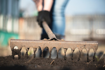 The gardener loosens the soil with a rake on her field close up.
