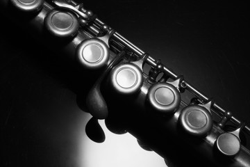 Obraz premium Close-up of Flute