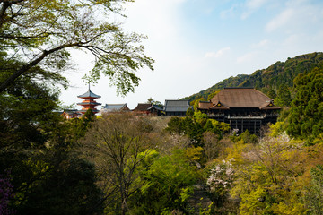 Kiyomizudera, Kyoto during the coronavirus crisis.