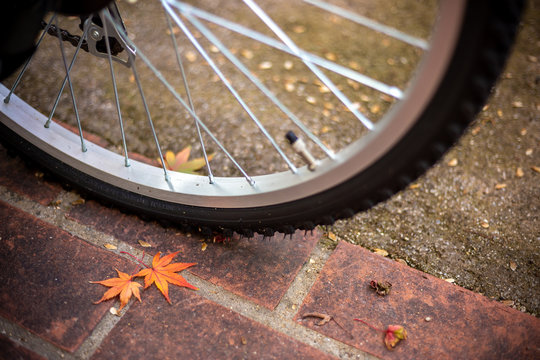 落葉と自転車　秋のイメージ