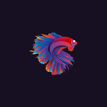 Betta Fish Logo