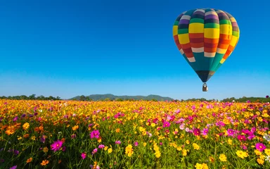 Papier Peint photo Lavable Ballon Belles couleurs des montgolfières volant sur le champ de fleurs du cosmos
