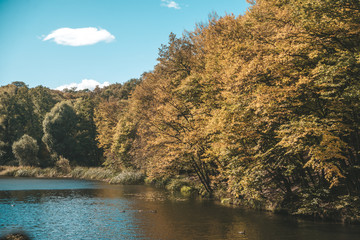 Landscape in Ukraine, Kyiv. Beautiful park and river, rich nature. Golden autumn, background..
