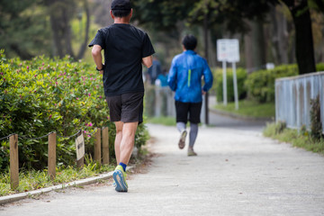 Fototapeta premium 朝の公園でジョギングしている人々