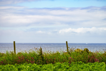 Fototapeta na wymiar Countryside view field with rustic fence on seacoast