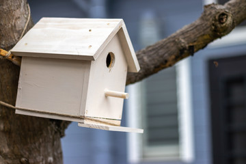 鳥の巣箱　自然のイメージ