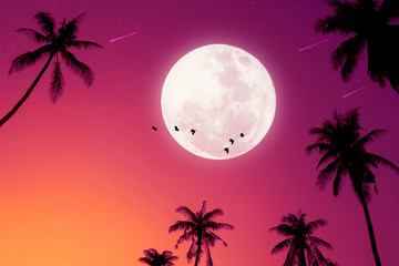 Tropical night. Full moon and palm leaf birds fly abstract background.