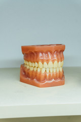 dentistry and process details