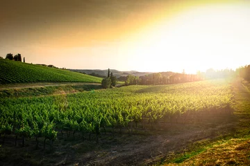 Papier peint photo autocollant rond Vignoble Vineyards in Tuscany