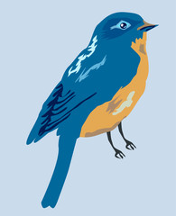 Bird in blue and blue colors vector drawing