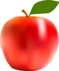 a red Apple with a piece of realistic drawing vector