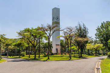 Clock tower in the park