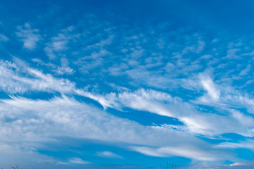 simple blue sky with white clouds in the cool season, freshness and a clear Sunny day in nature
