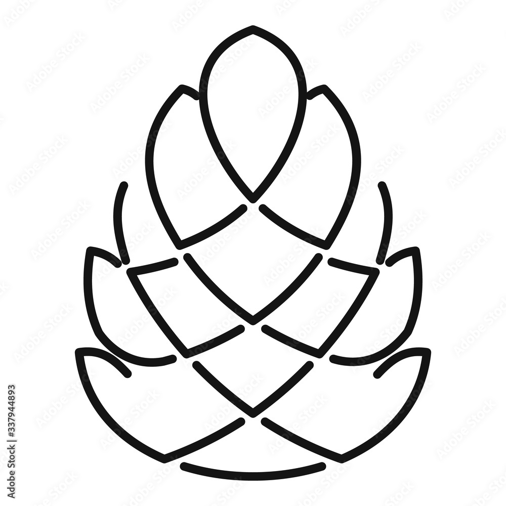 Poster conifer pine cone icon. outline conifer pine cone vector icon for web design isolated on white backg