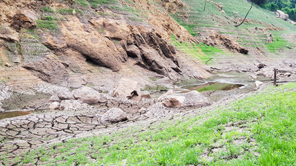 Greenery dam during spring.