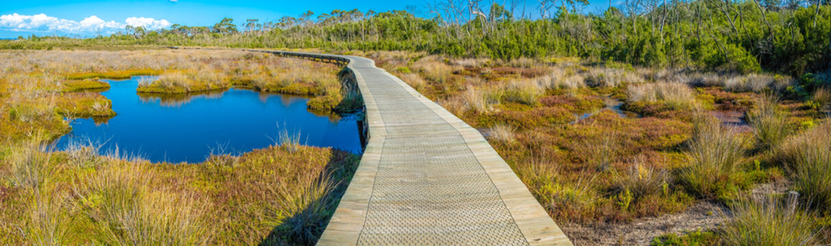 Scenic boardwalk passing through coastal wetlands in Victoria, Australia