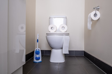Funny frog face made from toilet bowl and paper