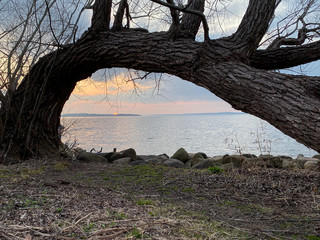 pink sunset over lake piers rocks hanging tree