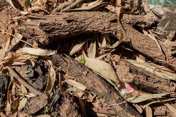 A pile of dry firewood