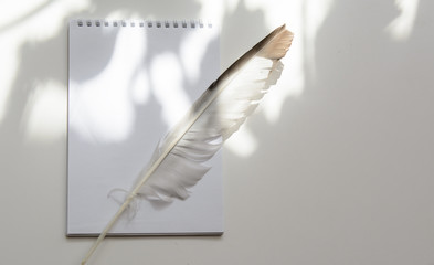 On a white background lies a notebook. The goose feather lies obliquely. Shadows and light. Concept...