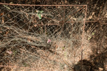 Fish traps of fishermen in Thailand
