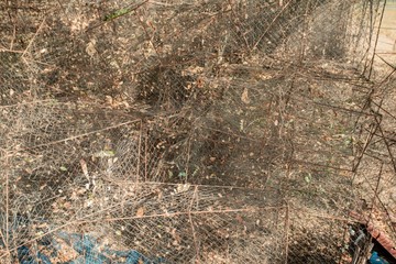 Fish traps of fishermen in Thailand