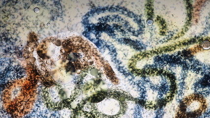 Mixing water and oil, beautiful colors. Close-up. Abstract background of filaments of different colors. Water and oil bubbles. Abstract light illumination