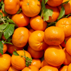 A pile of ripe oranges on a store counter. Many oranges are laid out on a display case close-up