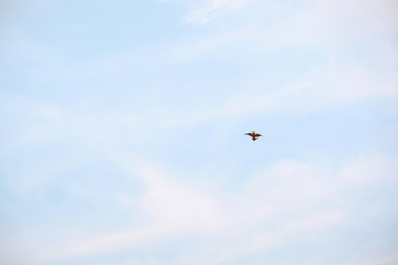 Bangkok, Thailand - MARCH 16, 2019 : Bangkok cityscape view Bangkok Thailand, most popular city in south asia.