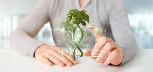 Businessman holding a DNA growing as a plant - 3d rendering
