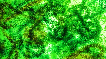 Mixing water and oil, beautiful colors. Close-up. Abstract background of filaments of different colors. Water and oil bubbles. Abstract green light illumination