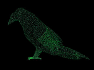 Wireframe polygonal bird