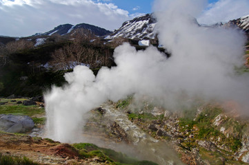 geyser in yellowstone national park