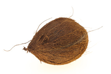 Coconut isolated on white background