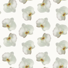 Seamless vector pattern of white orchids on a light background, made in a realistic style using a gradient mesh. Flowers on the background are scattered randomly, suitable for textures and gift paper